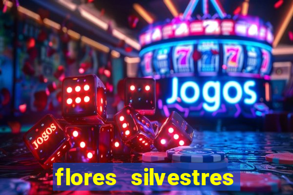 flores silvestres desbravadores desbravadores 25 flores silvestres e seus nomes